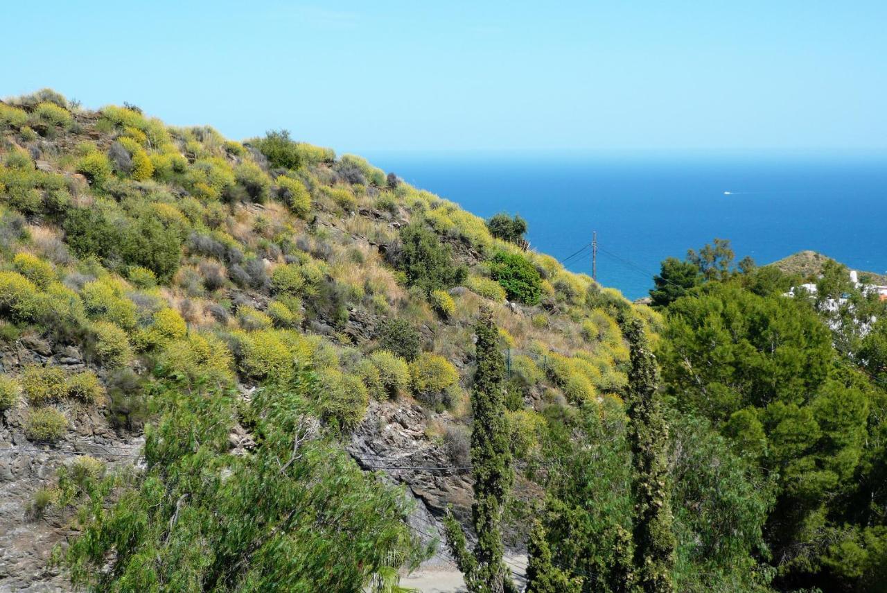 House With Terrace, Amazing Views And Private Shared Pool Villa Mojacar Exterior photo