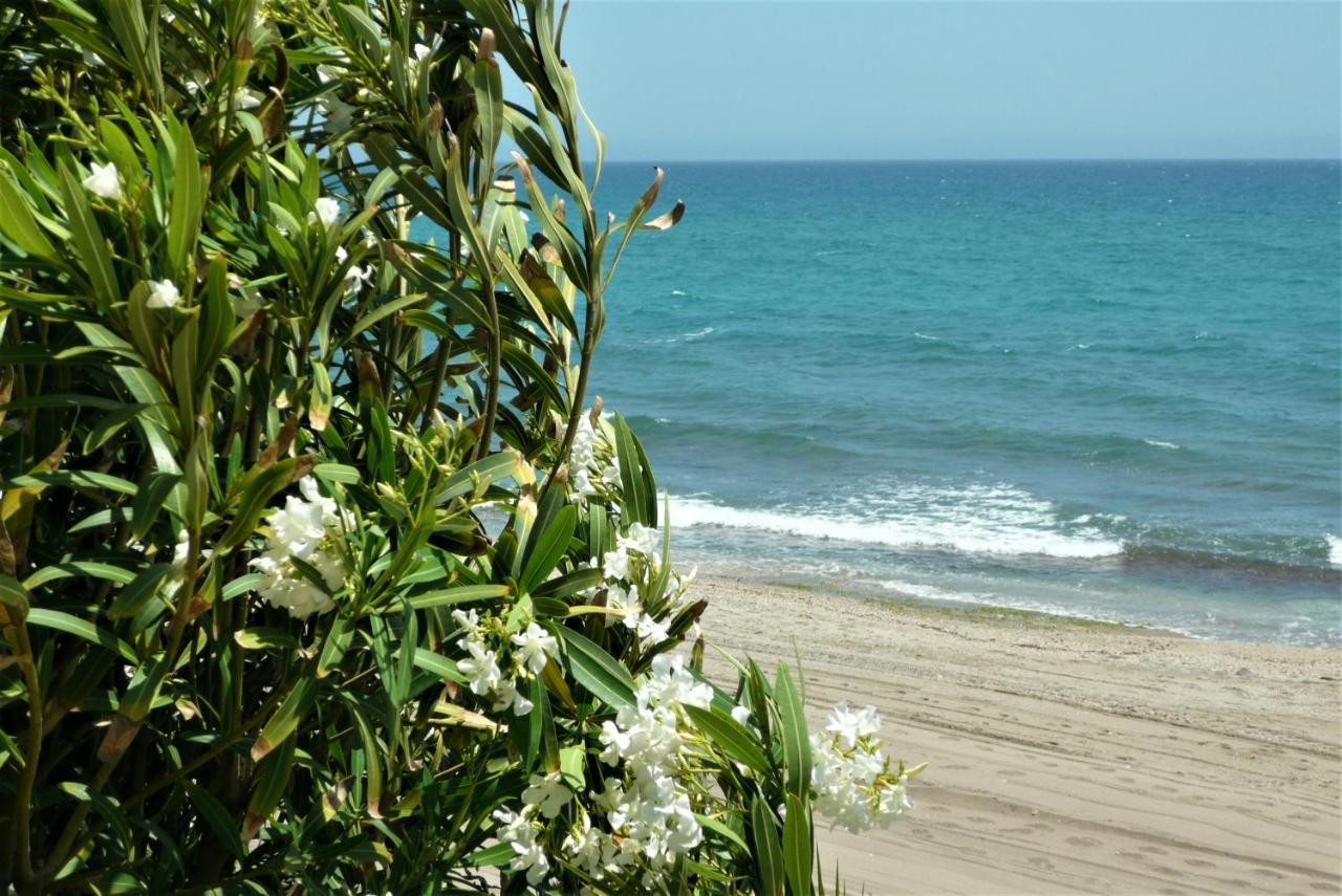 House With Terrace, Amazing Views And Private Shared Pool Villa Mojacar Exterior photo